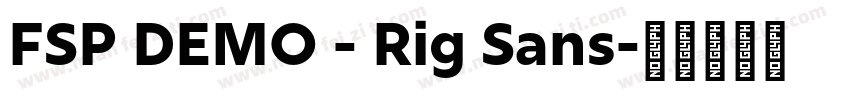 FSP DEMO - Rig Sans字体转换